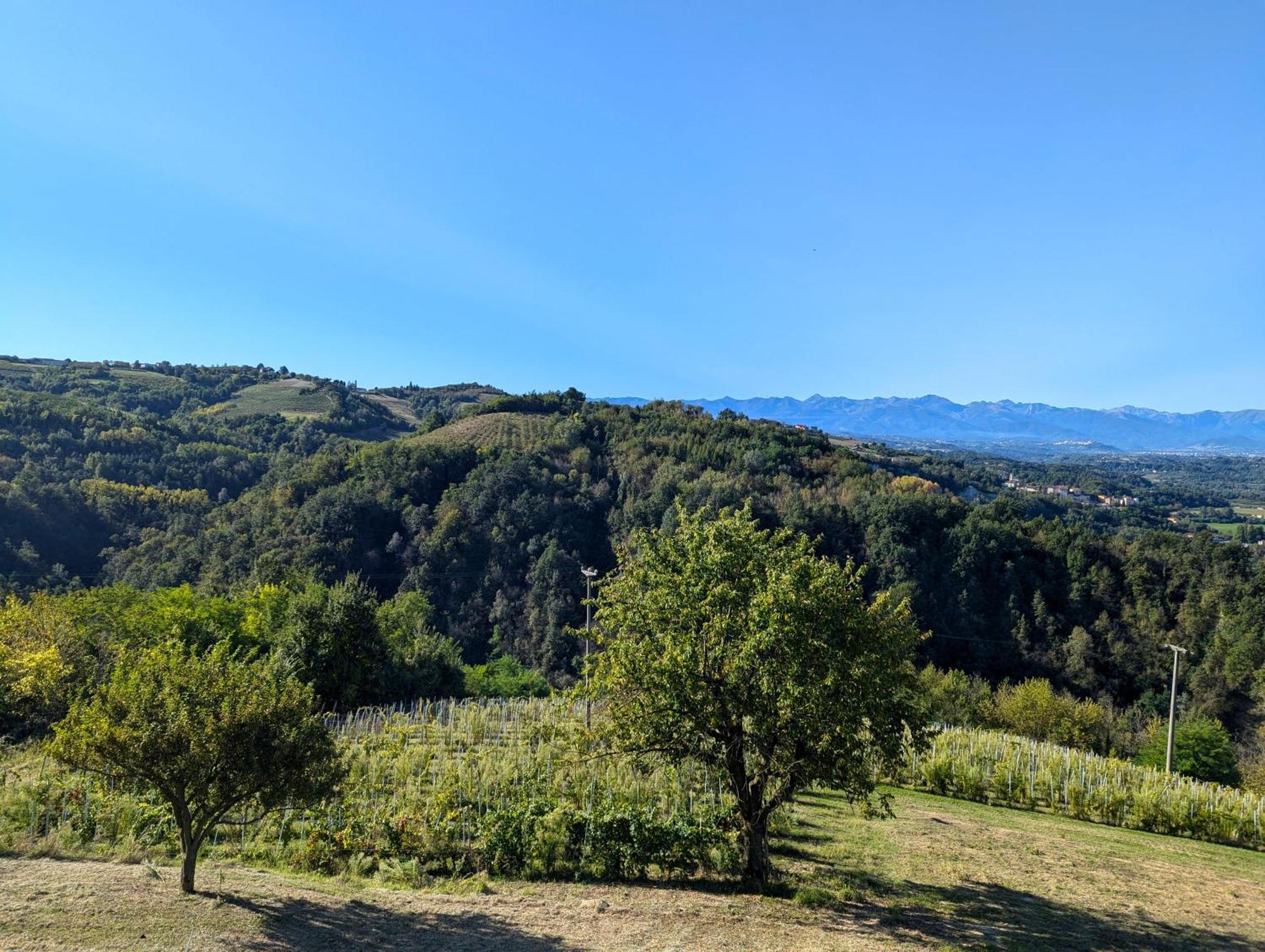 Вилла Casa Felice Farigliano Экстерьер фото